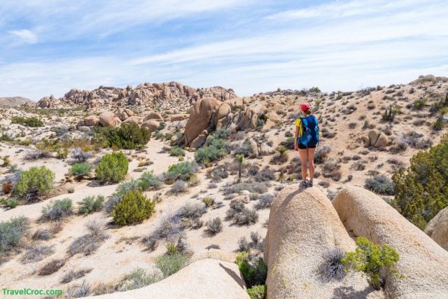 95729_hiking-at-joshua-tree-national-park-jpg.jpg